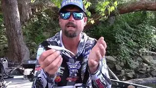 Drew Cook: Try Burnin' a Fluke for Reaction Bites