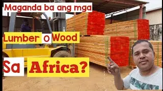 Export Quality Good lumber,Hard Wood ng Africa.