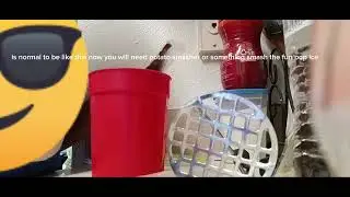 how to make sluurpe or snow cone como hacer un raspado o slushy