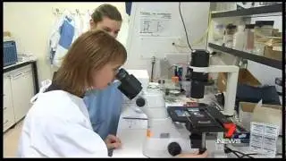 Breast Cancer Prevention Research- Preventing Breast Cancer