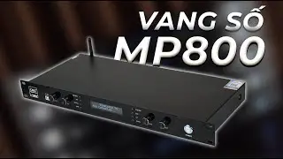 Vang số CAVS MP800 được ưa chuộng nhất 2024