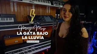 Maryan Meza - La Gata bajo la lluvia