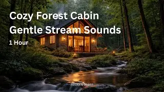 Cozy Forest Retreat ✦ Gentle Water Sounds ✦ Relax & Sleep Ambient