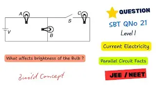 Effect on Brightness of Bulb | Current Electricity SBT Q21 | Class 12 Physics | JEE / NEET
