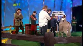 Name that donkey Part One - Saturday Night Takeaway 7/3/09