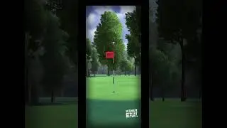 Ultimate golf