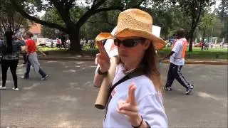 Global March for Lions