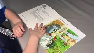 Top cat - songbirds phonics kids book