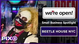Small Business Spotlight: Beetle House NYC