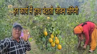 खेती के लिए करनी पडती है काफी मेहनत/#arvind_shukla_kedarnath #khetibadi #bibiki mehnat #Agricalture 