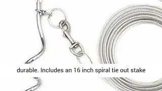 EXPAWLORER Dog Tie Out Cable and Reflective Stake 30 ft Outdoor