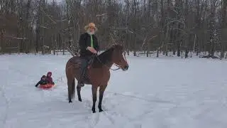 Amish Uber. More reliable than any Ford.