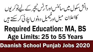 Daanish School Punjab Jobs 2020 | Latest Teaching Jobs