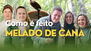 COMO É FEITO O MELADO DE CANA - RBV Agro - 22/07/23