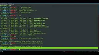 Bash Programming 5    Arguments