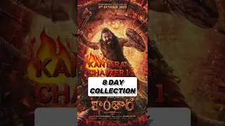 Kantara Chapter 1 8 Day Collection || Kantara Chapter 1 Collection#kantarachapter1#shorts#shortvideo