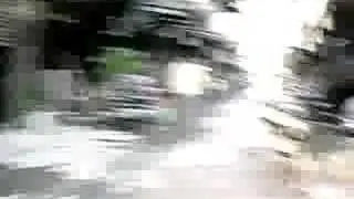 颱風過後...