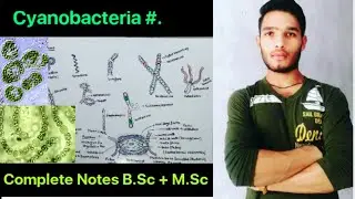 Cyanobacteria in hindi