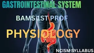 Physiology of gastrointestinal system | physiology of GIT | Functional anatomy of GIT | #physiology 