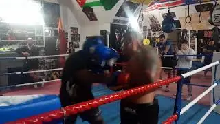 Malta boxing 2020(1)