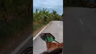 Driving at the country side