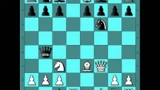 Gambit je rizična igra - PASCHMANN vs KURSCHAT - Blackmar-Diemer gambit # 416