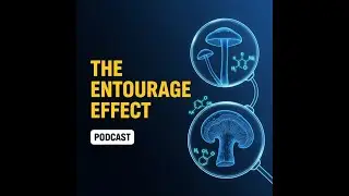 Podcast: The Science of Strains & The Entourage Effect (Golden Teacher vs. PE) | Wonder Fungi