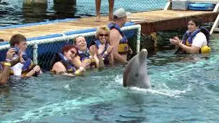 Dolphin & Manatee Experience All Inclusive, Cozumel, Mexico | Celebrity Cruises