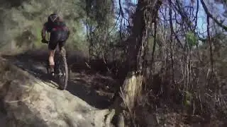 North Abyss 1080p @ Balm Boyette Scrub Preserve