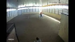 feta (2) 061524(1)