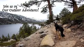Channel Preview! A German Shepherd Adventures Kara's Channel Campaign - Subscribe Today! Version 1.0