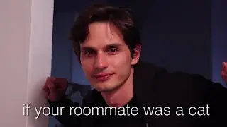 If Your Roommate was a Cat