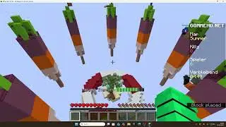 Minecraft item chaos
