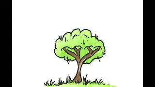 A quick tree sketch