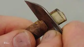 Side veneer grafting, a sequence of images. Photography Right Plants App