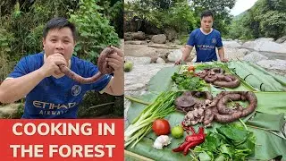 Explore the Deep Forest: Cook and Survive with the Most Delicious Food.Deep Forest Exploration