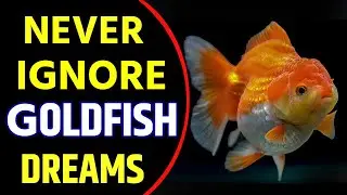 What does Goldfish Dream Meaning | Goldfish Dream Interpretation