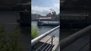 Sounds of Berlin nature ASMR #asmrwalk #berlin #naturesounds #cityambiance