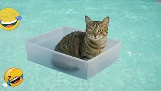 You Laugh You Lose 🤡 Funniest Cats and Dogs 2026 🐶🧡 Part 14