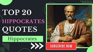 Top 20 Hippocrates Quotes | Inspirational Daily-Quotes
