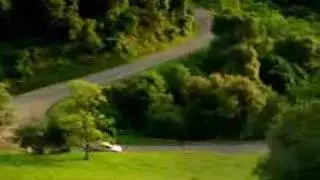 Car_21_1