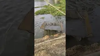 ചീനവല ഉയർത്തുന്നു#cheena vala fishing