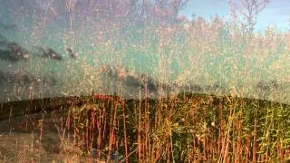 Viola Conti - Admiral Point Centre - Travel