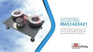 Custom Measurement Air Gauge Metrolog MAS1423421