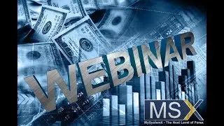 MySystemX Live-Webinar mit Gesellschafter Maik Dieroff