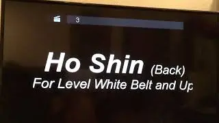 Ho Shin Form