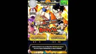 Yolo summon