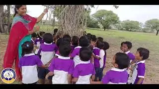 Visiting Banyan Tree 🌳| UKG Kids Nature Learning Activity | New Vision School 🌿