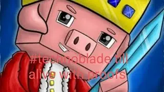 #technoblade still alive