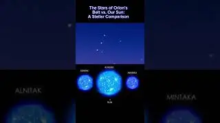 The Stars of Orion&rsquo;s Belt vs. Our Sun: A Stellar Comparison. #stars #orionbelt